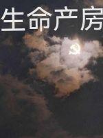 生命產房
