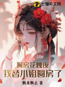 洞房花燭夜 我替小姐圓房了
